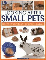 David Alderton - Looking After Small Pets, Häftad