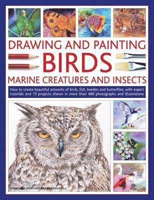 Drawing and Painting Birds, Marine Creatures and Insects