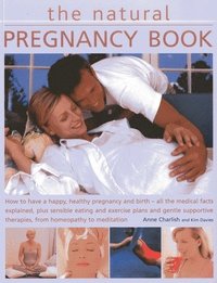 bokomslag Natural Pregnancy Book