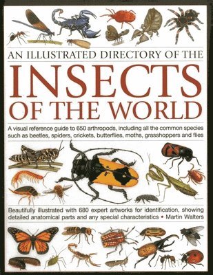 Martin Walters - Illustrated Directory of Insects of the World, Häftad