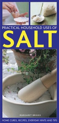 bokomslag Practical Household Uses of Salt