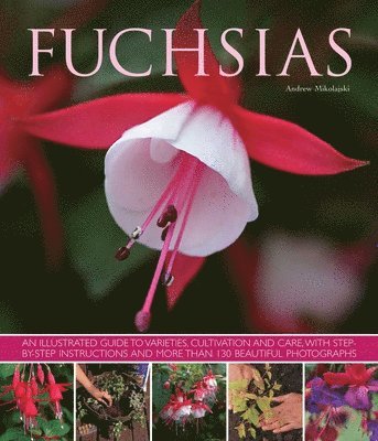 bokomslag Fuchsias