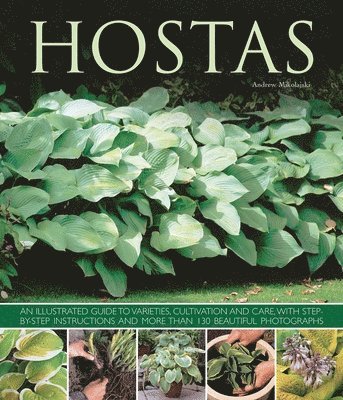 bokomslag Hostas