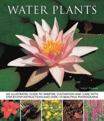 Water Plants 1