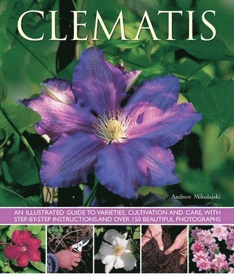 Andrew Mikolajski - Clematis, Häftad