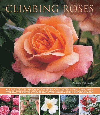 bokomslag Climbing Roses