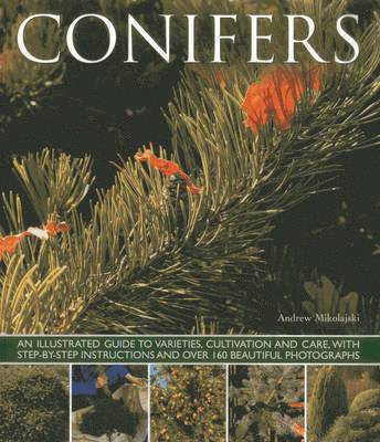 bokomslag Conifers