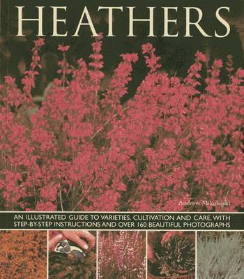 Heathers 1