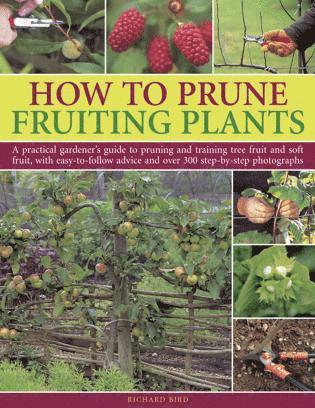 Bird Richard - How to Prune Fruiting Plants, Häftad