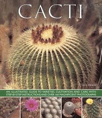 bokomslag Cacti