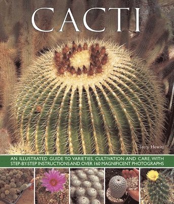 bokomslag Cacti