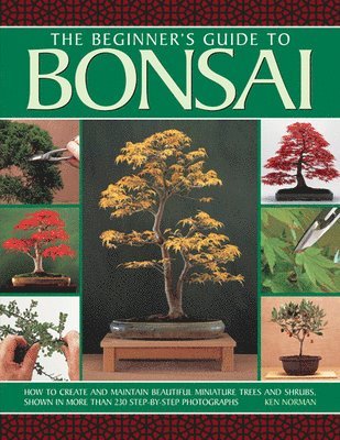 bokomslag Beginner's Guide to Bonsai