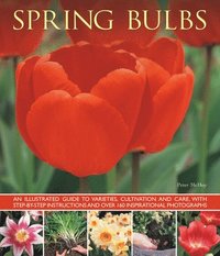 bokomslag Spring Bulbs