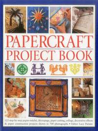 bokomslag Papercraft Project Book