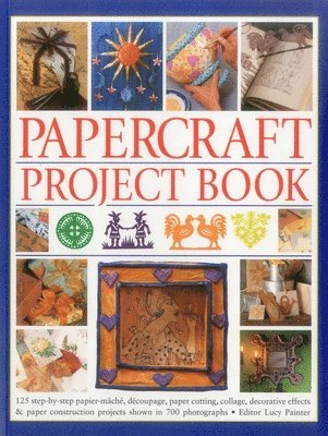 Painter Lucy, Lucy Painter - Papercraft Project Book, Häftad