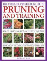 bokomslag Ultimate Practical Guide to Pruning and Training