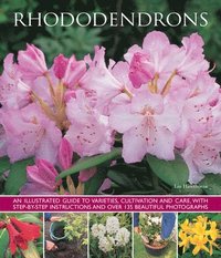 bokomslag Rhododendrons
