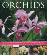 bokomslag Orchids