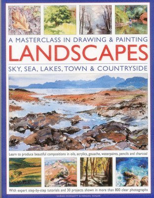 bokomslag A Masterclass in Drawing & Painting Landscapes