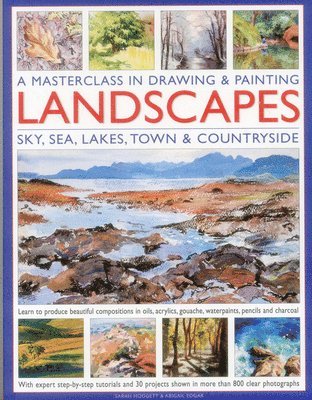 Sarah Hoggett, Abigail Edgar - A Masterclass in Drawing & Painting Landscapes, Häftad
