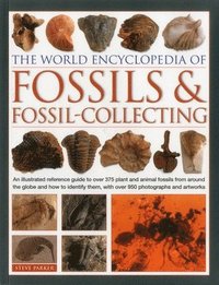 bokomslag World Encyclopedia of Fossils & Fossil-collecting