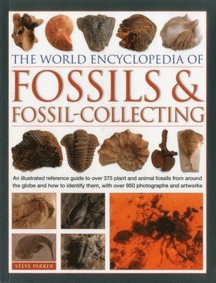 World Encyclopedia of Fossils & Fossil-collecting 1