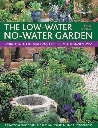 bokomslag Low Water No Water Garden