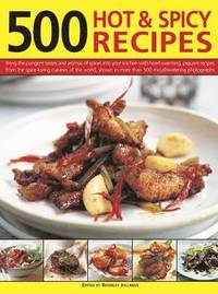 bokomslag 500 Hot & Spicy Recipes