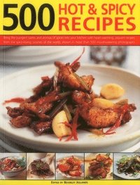 bokomslag 500 Hot & Spicy Recipes