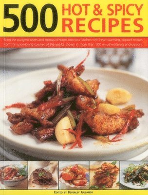 bokomslag 500 Hot & Spicy Recipes