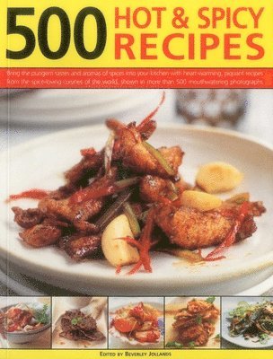 bokomslag 500 Hot & Spicy Recipes