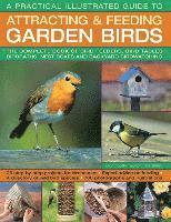 bokomslag A Practical Illustrated Guide to Attracting & Feeding Garden Birds