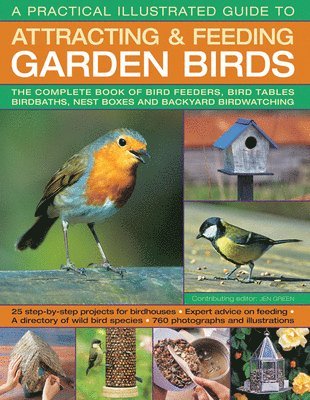 Jen Green, Dr Jen Green - Practical Illustrated Guide to Attracting & Feeding Garden Birds, Häftad
