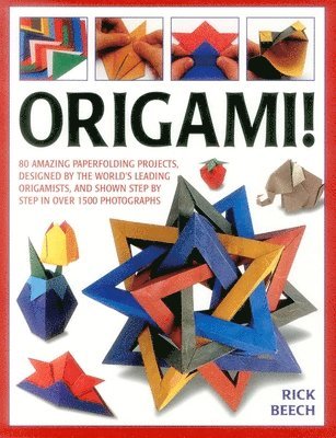 bokomslag Origami!