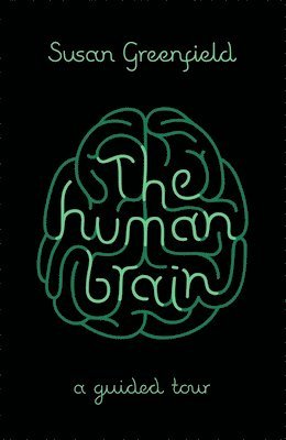 The Human Brain 1