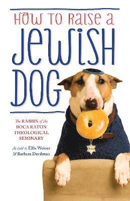 bokomslag How To Raise A Jewish Dog