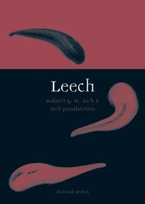 Leech 1