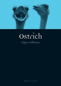 bokomslag Ostrich