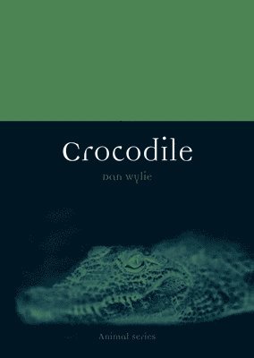 Crocodile 1