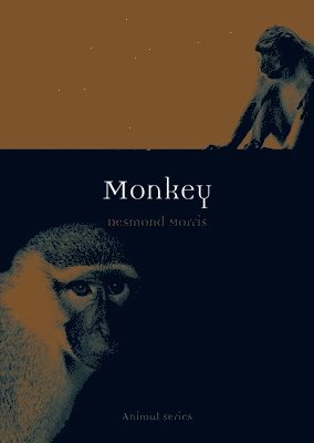 Desmond Morris - Monkey, Häftad