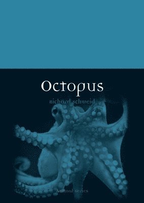 bokomslag Octopus