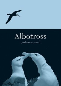 bokomslag Albatross