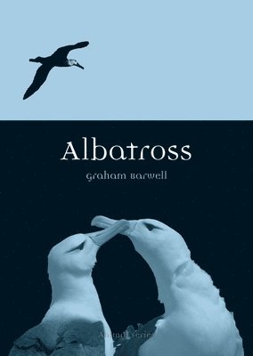 Albatross 1