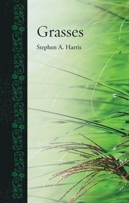 Grasses