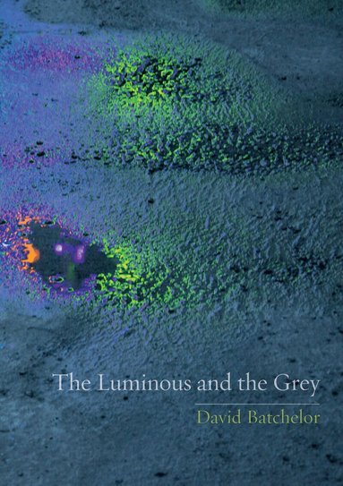 David Batchelor - Luminous and the Grey, Häftad