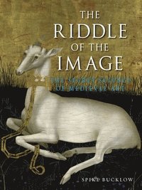 bokomslag The Riddle of the Image