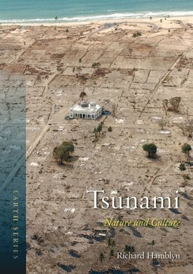 Richard Hamblyn - Tsunami: Nature and Culture, Häftad