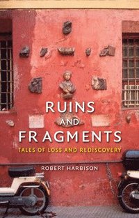 bokomslag Ruins and Fragments