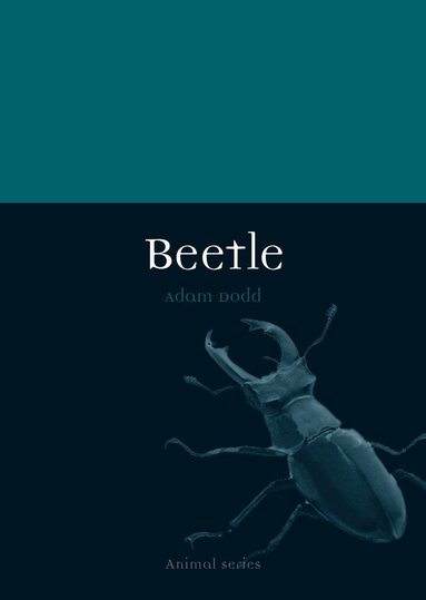 Adam Dodd - Beetle, Häftad