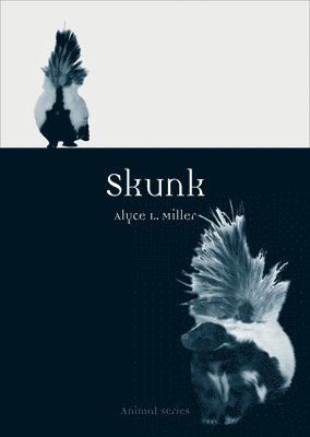 Skunk 1